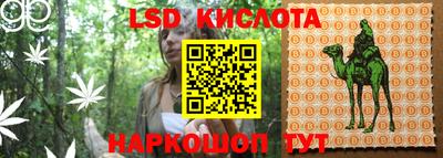 прущие грибы Севастополь