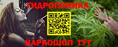 прущие грибы Севастополь